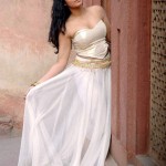 Poonam Bajwa Stills-Images-Photos-South Indian Actress-Onlookers Media