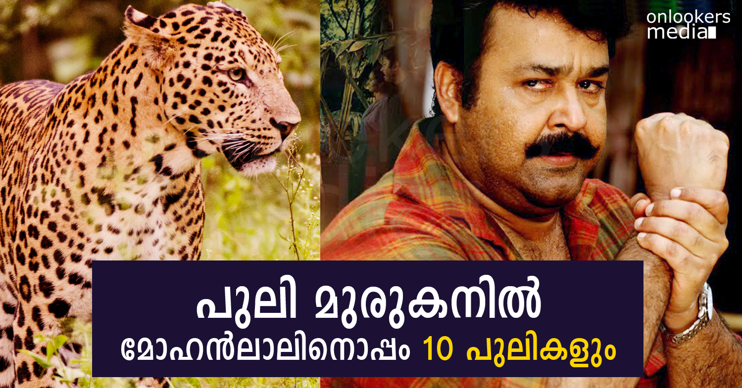 Moahanlal in Puli Murugan Stills-Posters-Malayalam Movie 2015