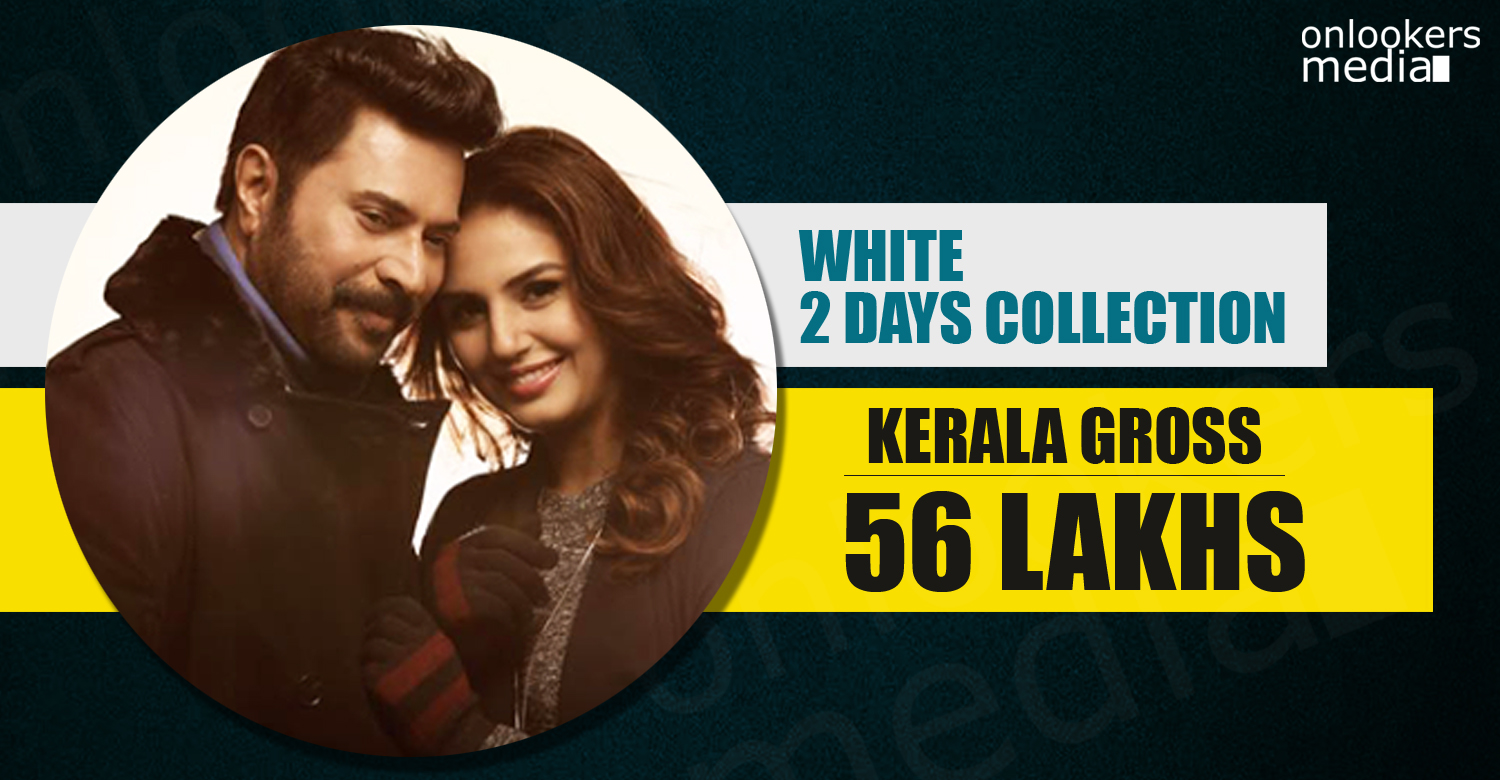 White Collection Report, kerala box office, white malayalam movie, mammootty flop movie,white movie hit or flop, flop malayalam movie 2016