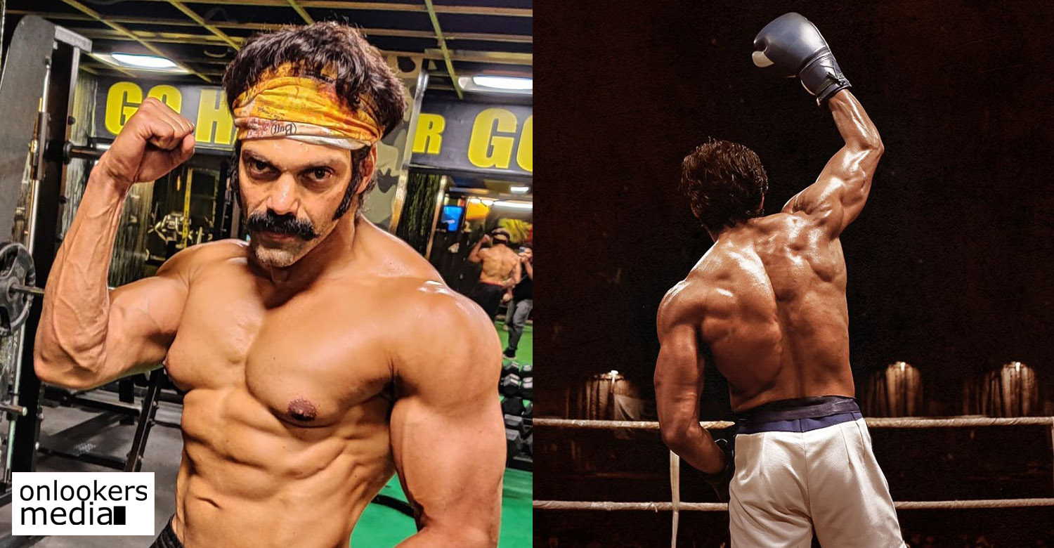 actor arya latest news,pa ranjith,pa ranjith new boxing film,actor arya body,actor arya gym body image,actor arya pa ranjith movie reports