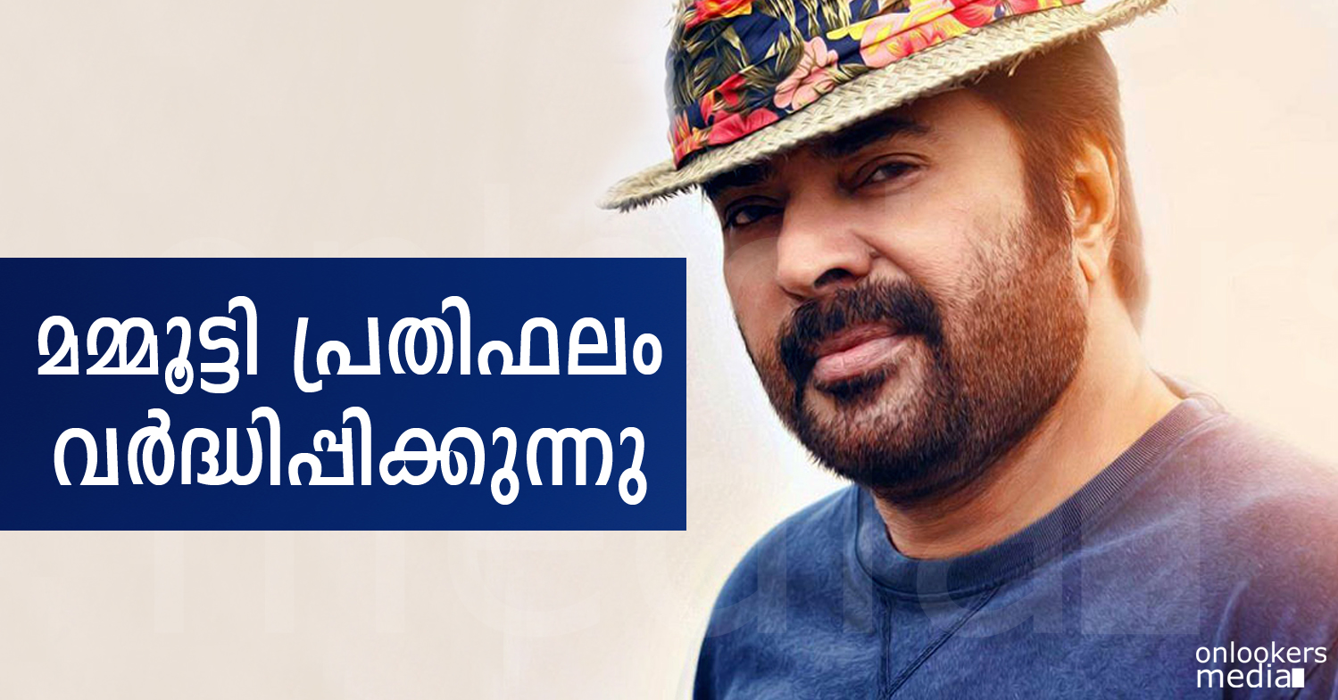 Mammootty to increase his remuneration from now on-Mammootty 2015 Movies-Hit-Onlookers Media