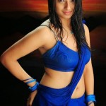 South Indian Actress Stills-Images-Photos