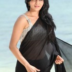 Tamil Telugu Actress Stills-Images-Photos-Images-Cute Actress-South Indian Actress (57)