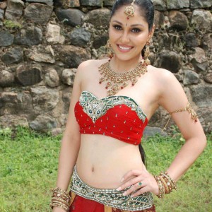 Actress Gallery 4-Tamil-Telugu-Actress Stills-Photos - onlookersmedia