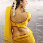 Actress Stills-Images-Photos-Mollywood-Kollywood-Tollywood-Bollywood Actress Gallery