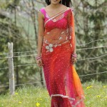 Tamil Telugu Kannada Actress Stills-Photos-ImagesTamil Telugu Kannada Actress Stills-Photos-Images