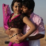 Telugu Tamil Kannada Malayalam Actress Stills-Images-Photos