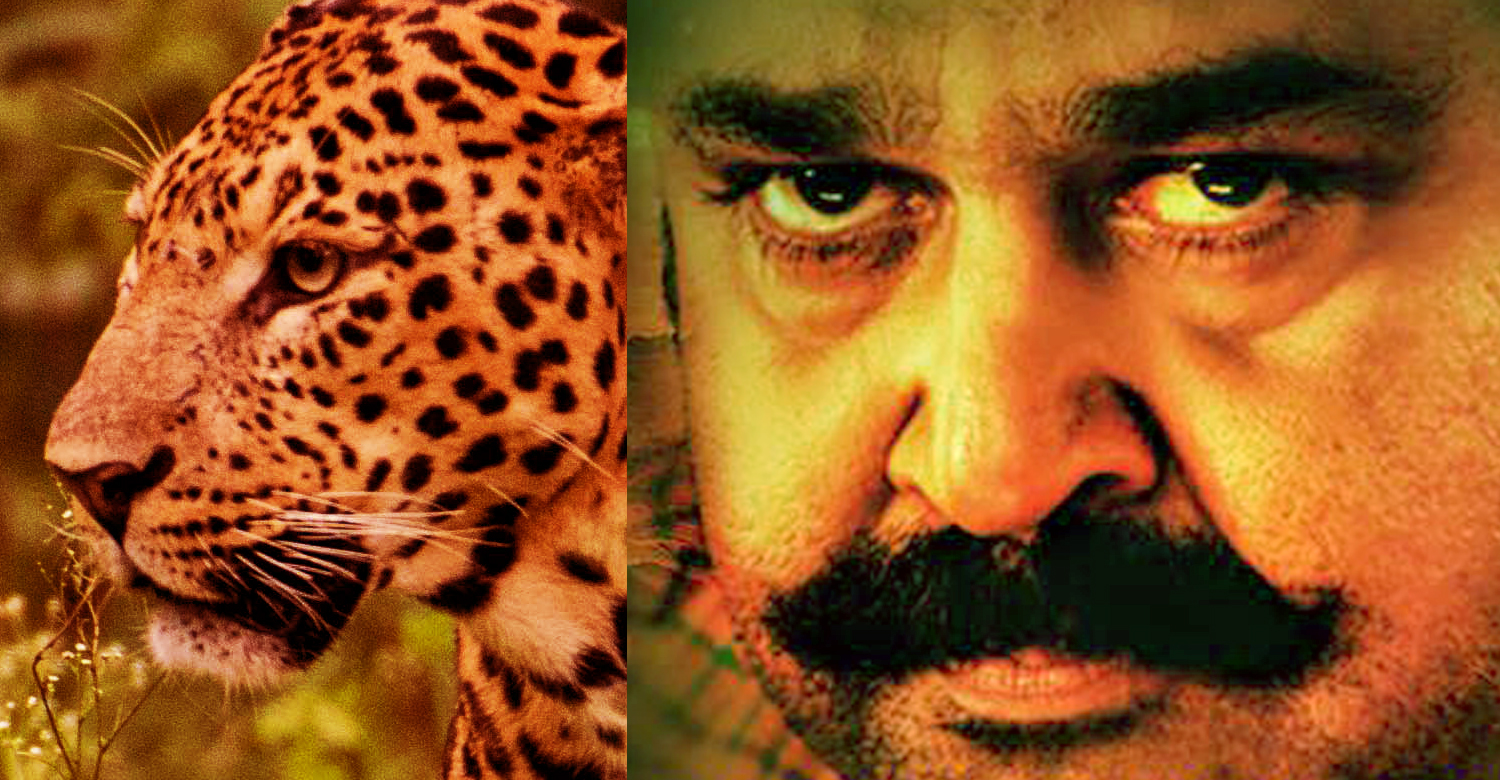 Mohanlal’s fight with leopards will be shoot using almost 2 weeks