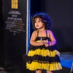 Anna Katharina's Honey Bee Audio Launch Stills-Dulquer Salmaan-Amal Sufia