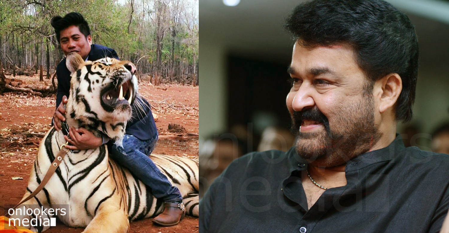 Pulimurugan will have fight using real tiger, may be the first time in  Indian cinema !