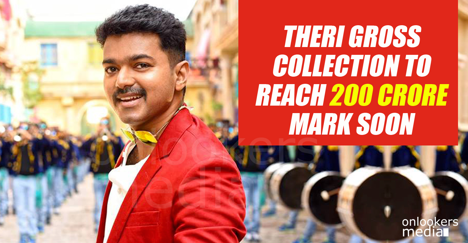 Theri 200 crore collection, Theri collection report, Theri total collection, Theri beat 24 collection, vijay Theri hit, kerala boxoffice collection