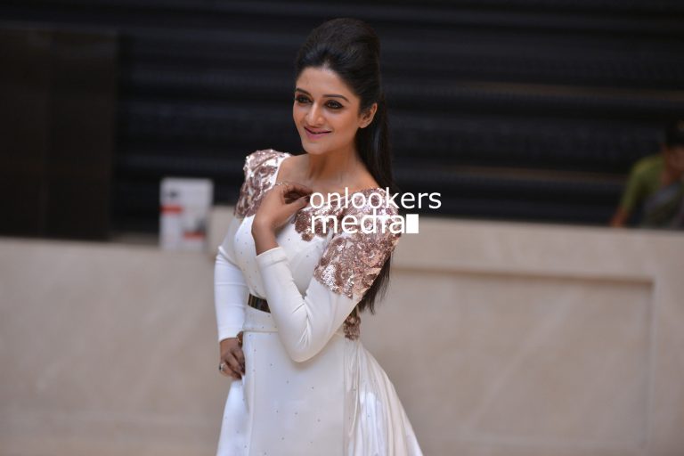 Vimala Raman 2016 Stills Photos Images
