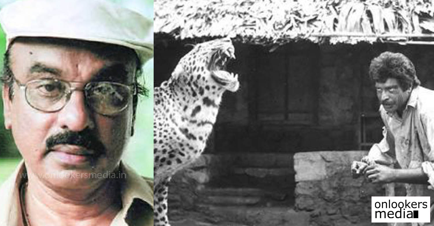 IV Sasi, Mammootty in mrigaya, Mrugaya tiger original or fake, iv sasi about mammootty, mrugaya tiger puli dummy, malayalam movie 2016