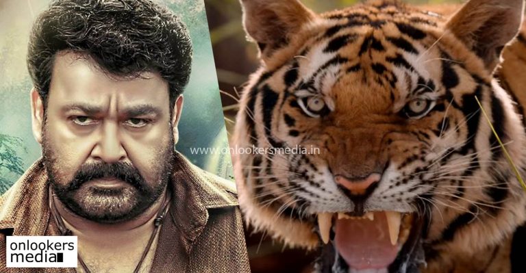 The tiger in Pulimurugan, is it original or graphics ?