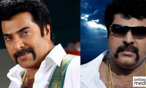 Mammootty, Vyshakh Director, Pokkiriraja, Pulimurugan, Prithviraj Sukumaran, mammootty vysakh movie