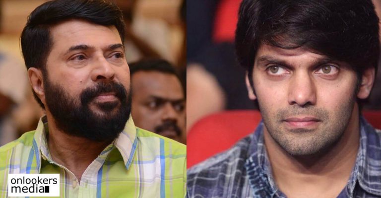 Arya stunned after watching Mammootty performs stunts sans dupes in The Great Father
