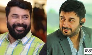Bhaskar The Rascal, mammootty, sidhique, aravind swamy, druva, aravind swamy new movie, Bhaskar The Rascal remake, sidhique director new movie, fukrey, jayasuriya