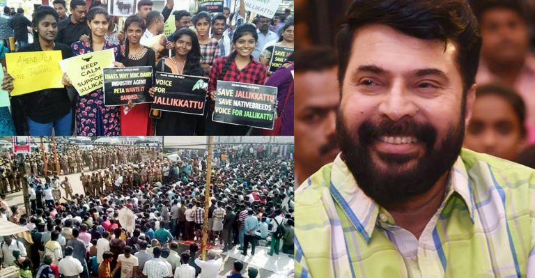 Mammootty unfazed by criticisms for supporting Jallikattu protests