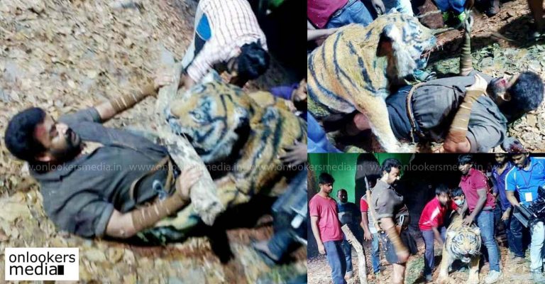 PHOTOS : Dummy tiger used in Pulimurugan climax fight scene