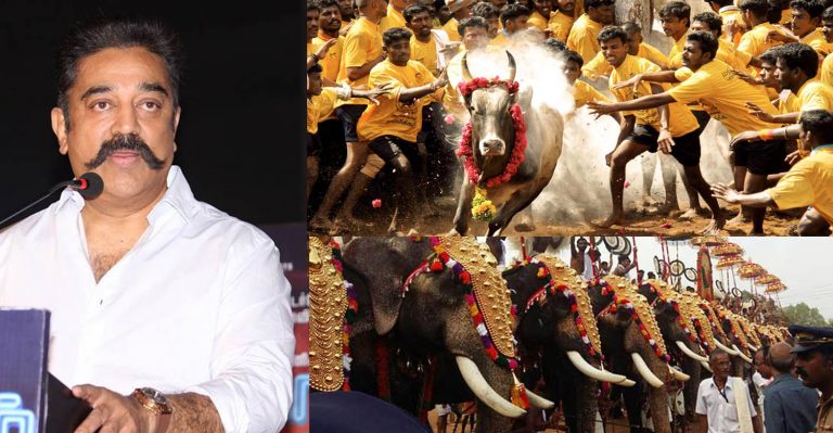 If caparisoned elephants are allowed in Kerala, Jallikattu should be permitted in TN : Kamal Haasan