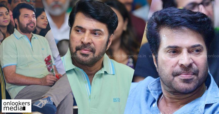 Mass and Class movies lined up for Mammootty