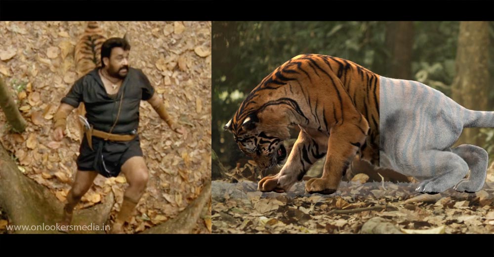 pulimurugan vfx breakdown, pulimurugan making video, pulimurugan tiger original or graphics, latest malayalam movie news, best visual effects team in india