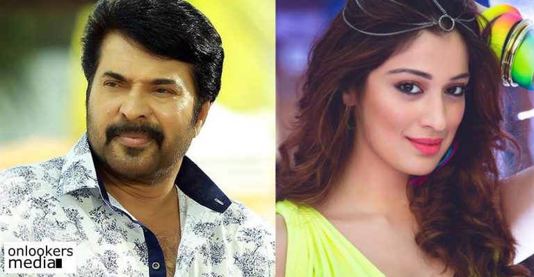 Raai Laxmi to work with Mammootty for the fifth time