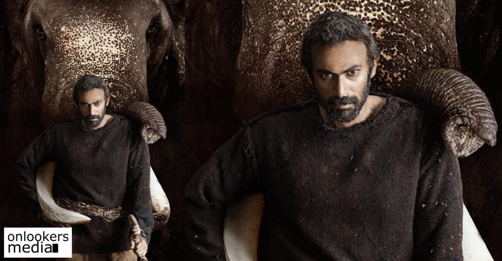 Haathi Mere Saathi: Rana Daggubati To Star In A Big Budget Trilingual Film!